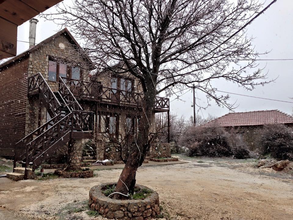 Anilia Guesthouse Synikia Mesi Trikalon Exterior photo